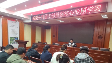 甘肃建投七建新厦公司团支部组织召开“坚强核心”专题学习