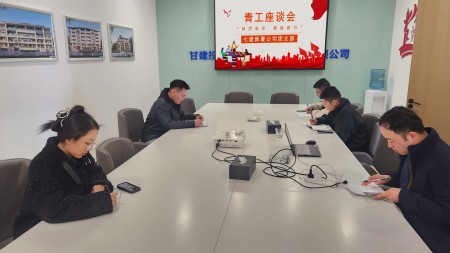 踔厉奋发 勇毅前行—甘肃建投七建新厦公司团支部开展青年员工座谈会